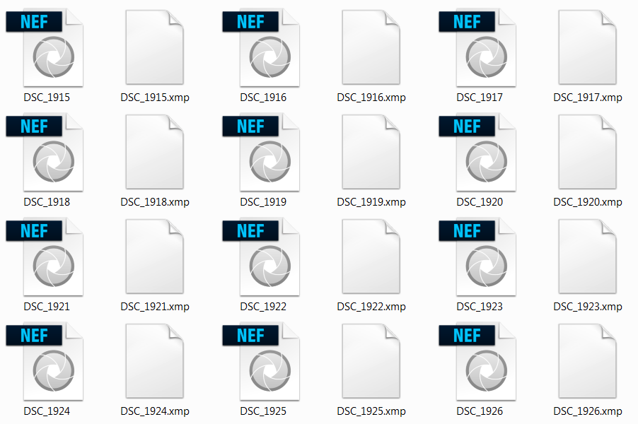 lightroom problem, lightroom öffnet sich automatisch, lightroom öffnet sich usb stick, lightroom usb stick, lightroom grundeinstellung, grundeinstellung lightroom xmp, einstellung lightroom xmp, lightroom xmp datei, lightroom xmp extern speichern, die wichtigste lightroom grundeinstellung