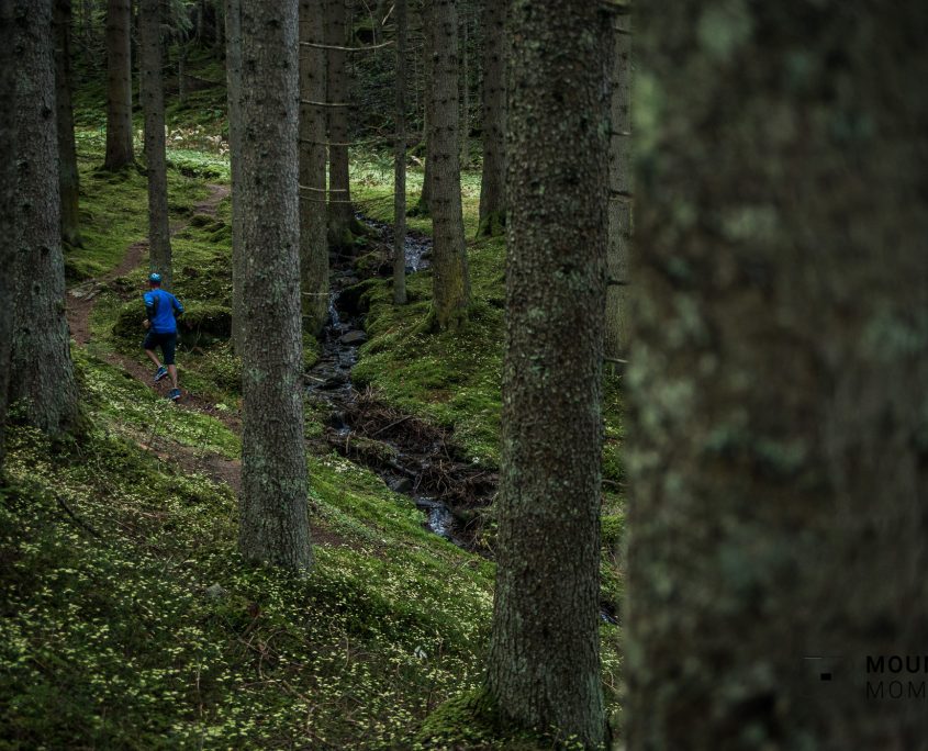 im dunklen wald, running, trailrunning, hike forest, running forest