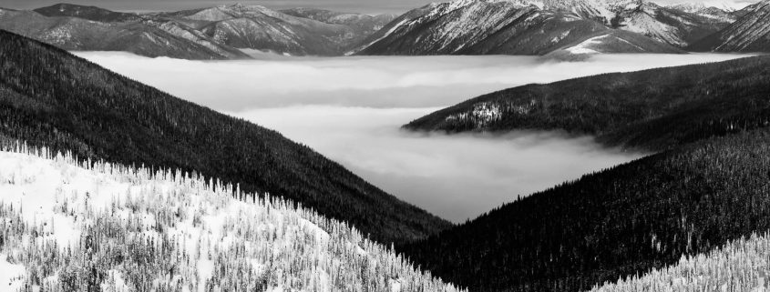 Look around and freeze the moment, time flies, canada , snowy hills, canada forest, forest hills snow, snowy forest, british columbia, bc snowy hills, bc snow