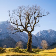 Schafreuter: Naturpark Karwendel erwandern